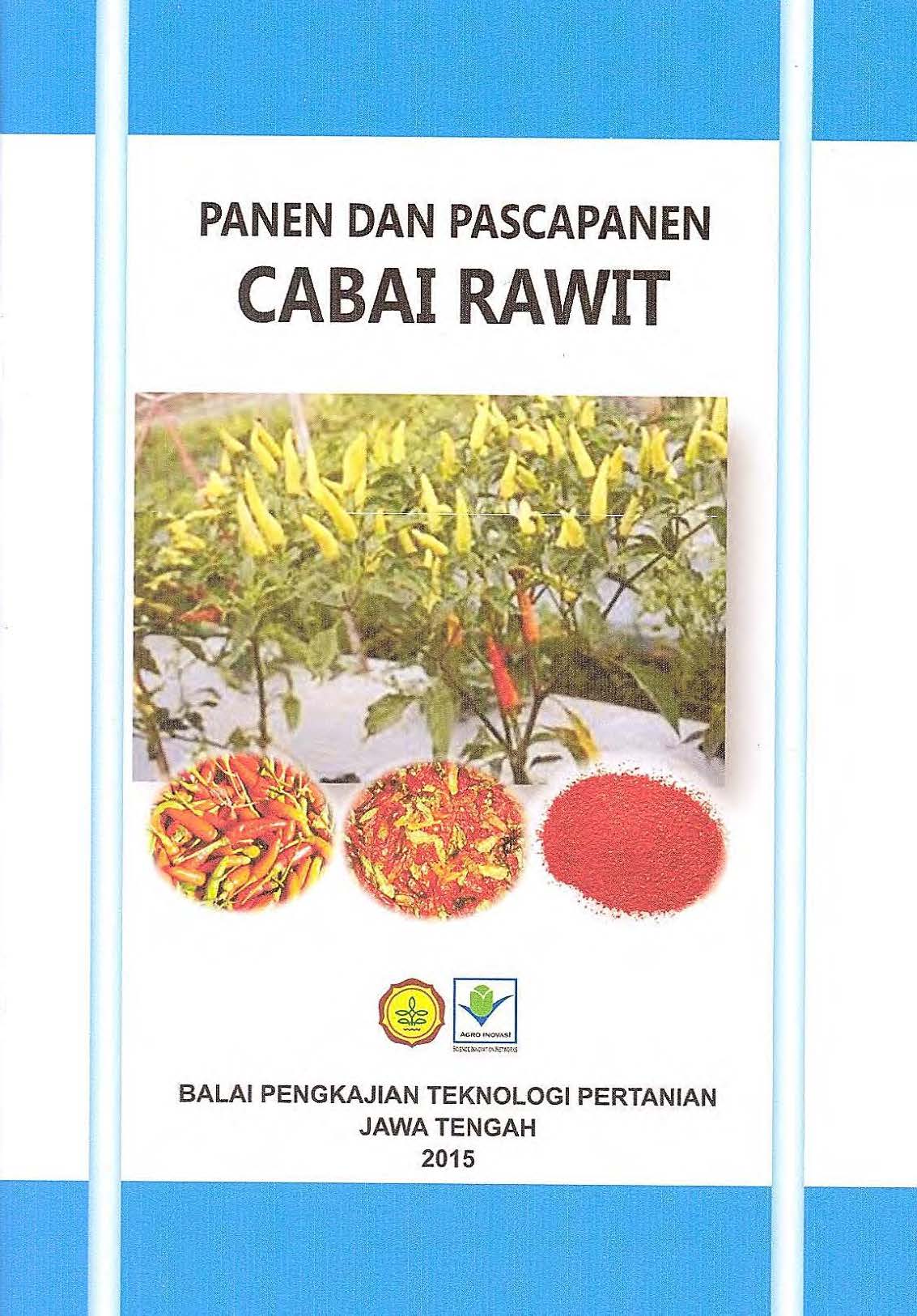cover rawitOK.jpg