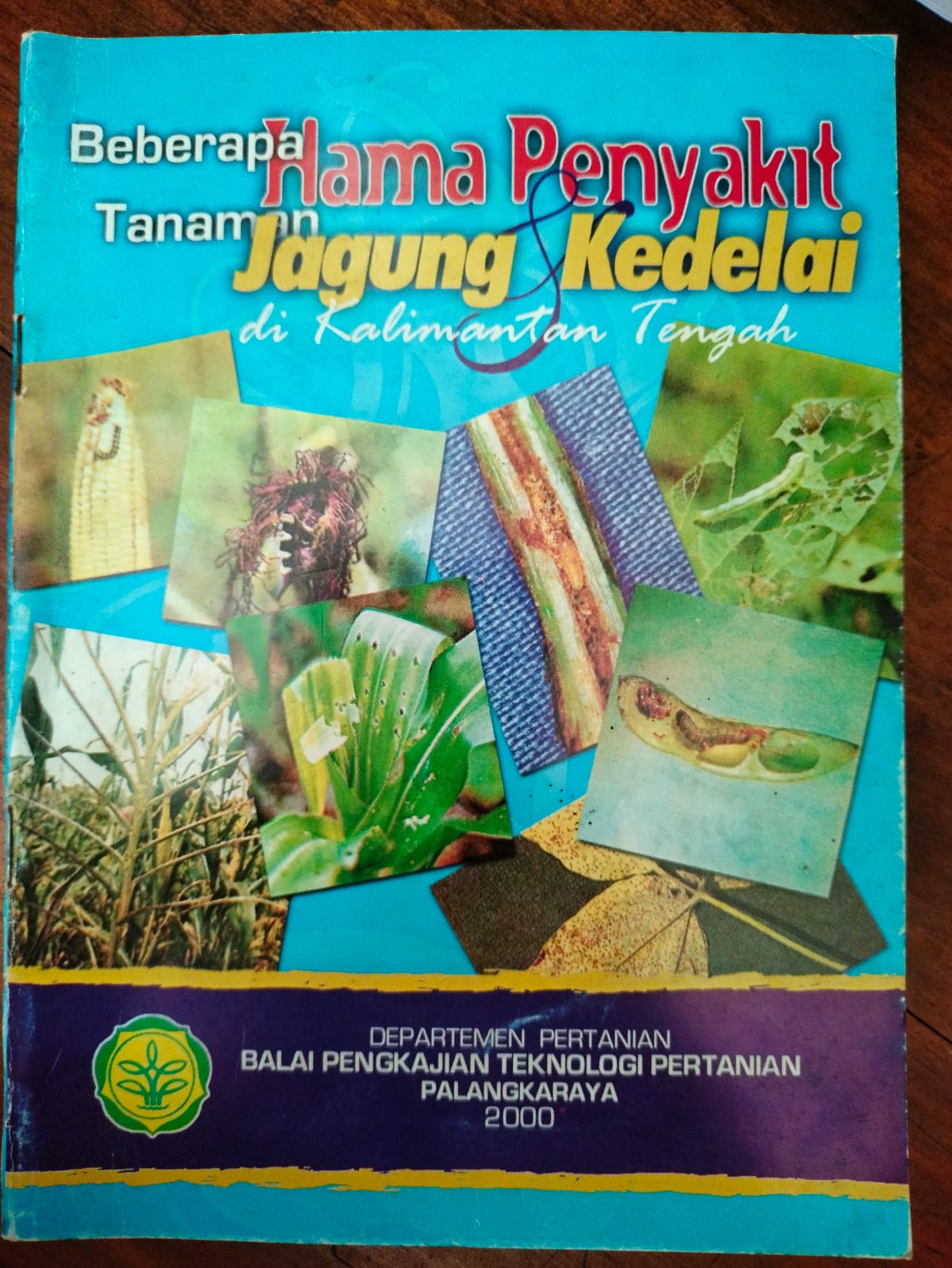 Beberapa Hama Penyakit Tanaman Kedelai Dan Jagung